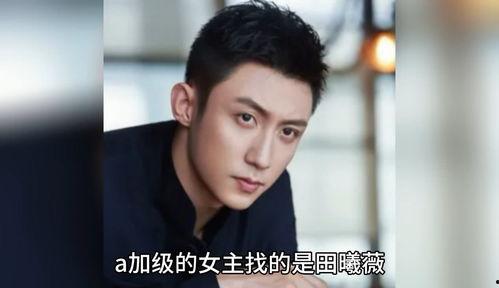 娱乐圈八卦吃瓜爆料断袖,断袖之谜,揭秘明星断袖背后的真相